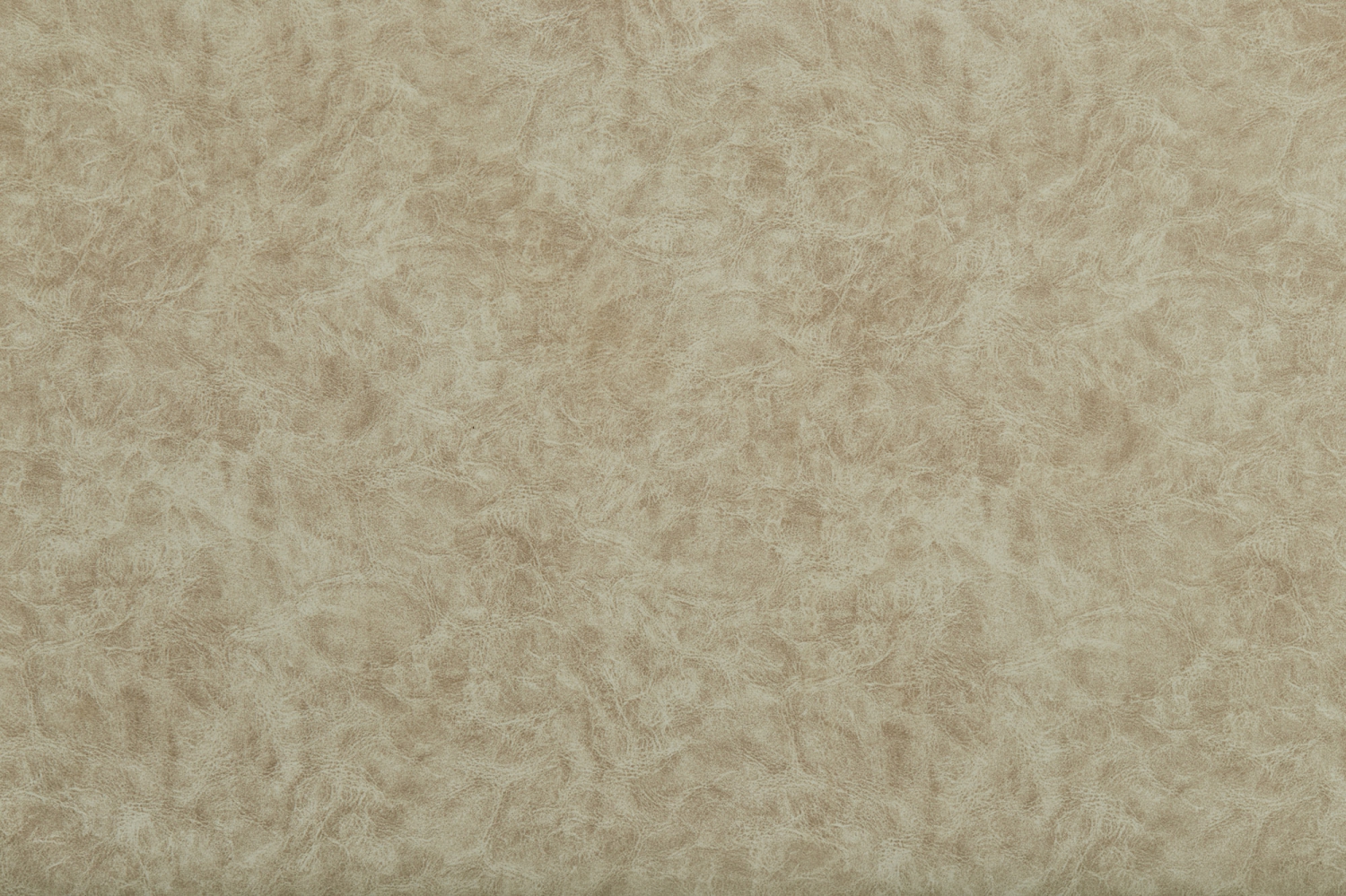 Camel_02